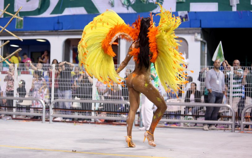 Brazilians on the carnival in Rio de Janeiro