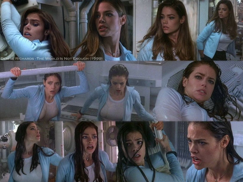 Denise Richards Distility Hot