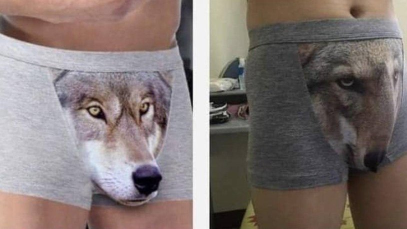 Panties wolf