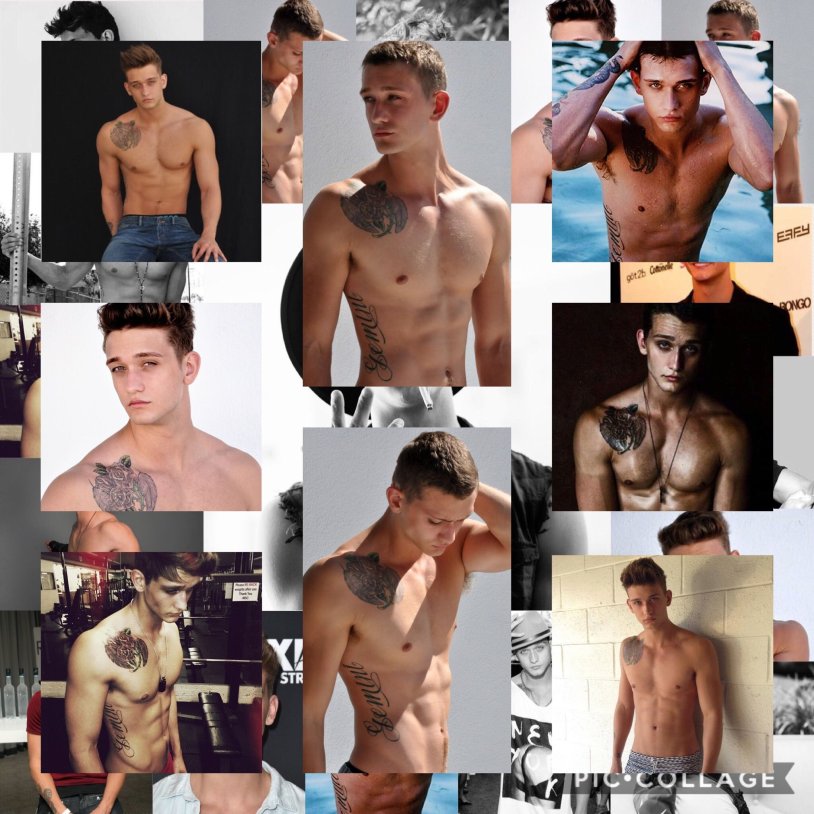 Wolf cub Torsos guys