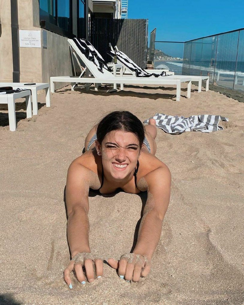 Charlie Damelio 2020 hair