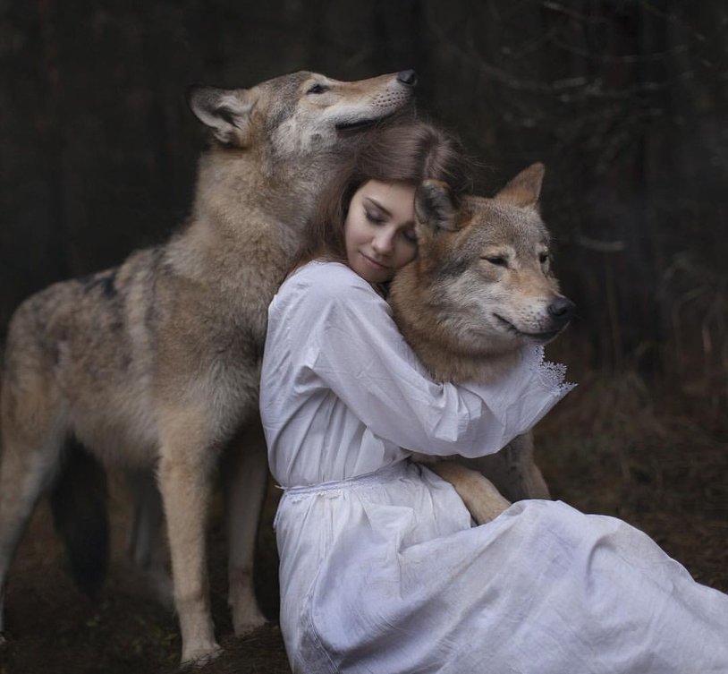 Girl among the wolves