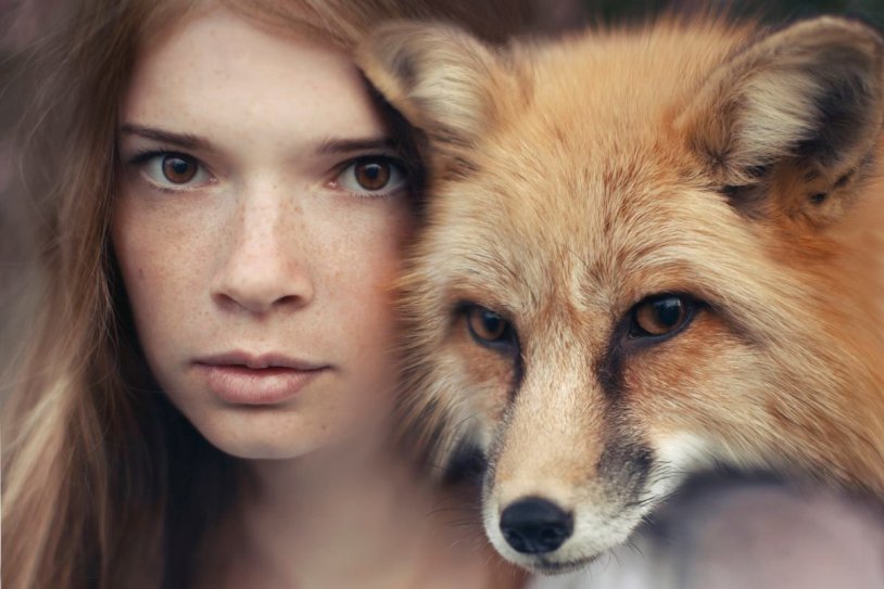 Girl and Fox