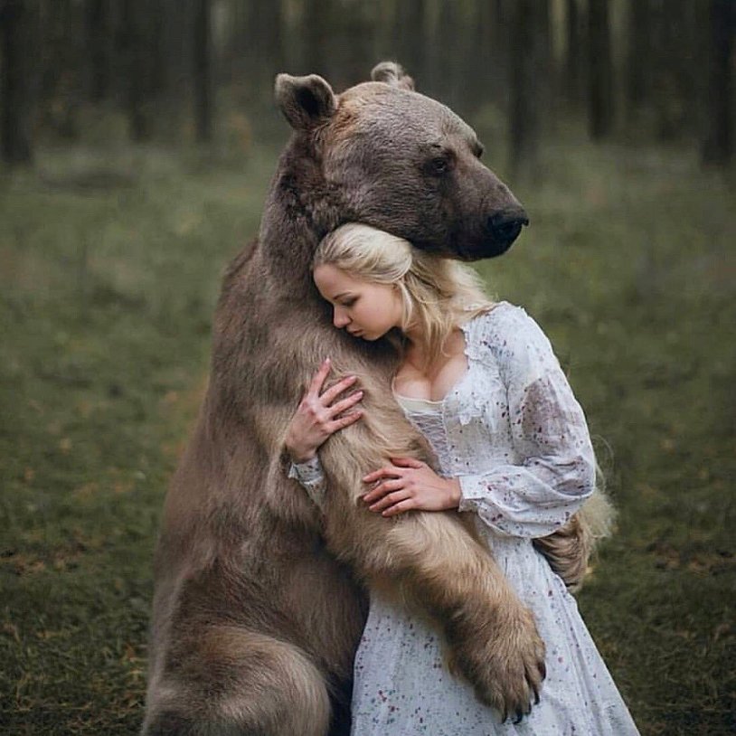 The bear hugs