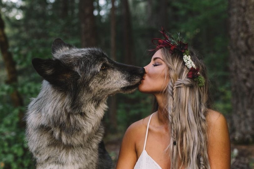 The wolf hugs the girl