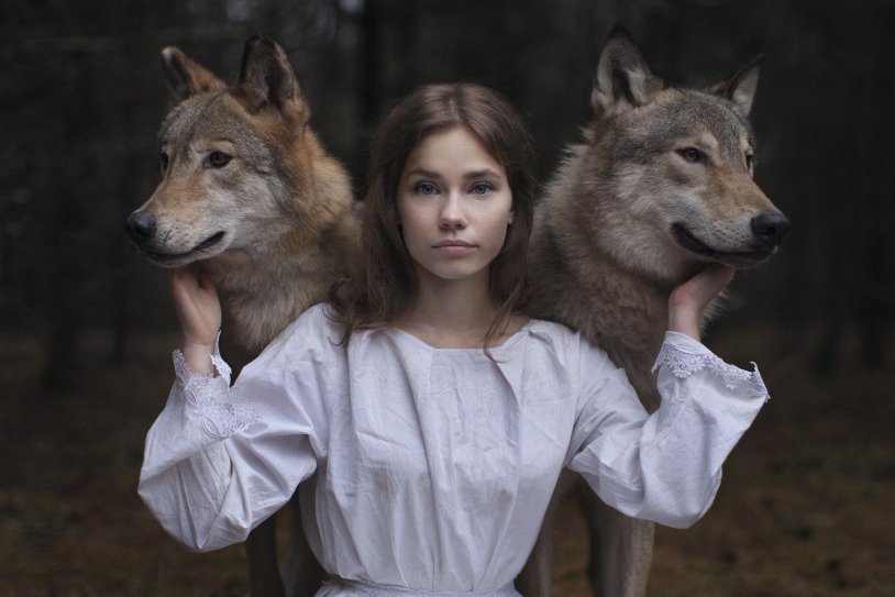 Photoshoot with a wolf