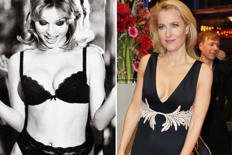 Gillian Anderson's chest