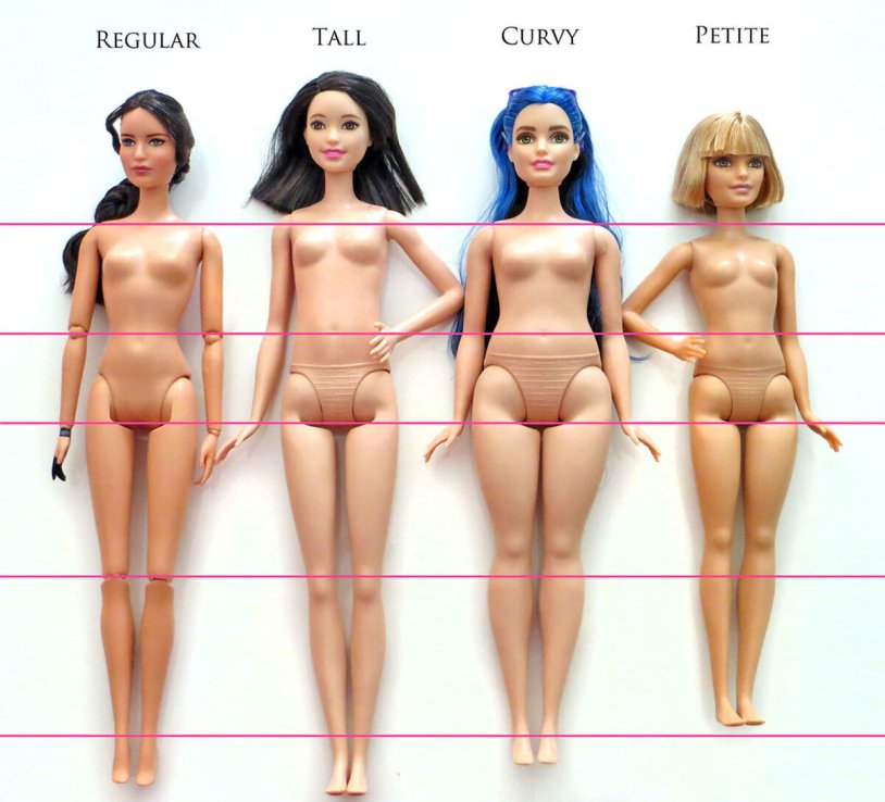 Barbie with different types of body