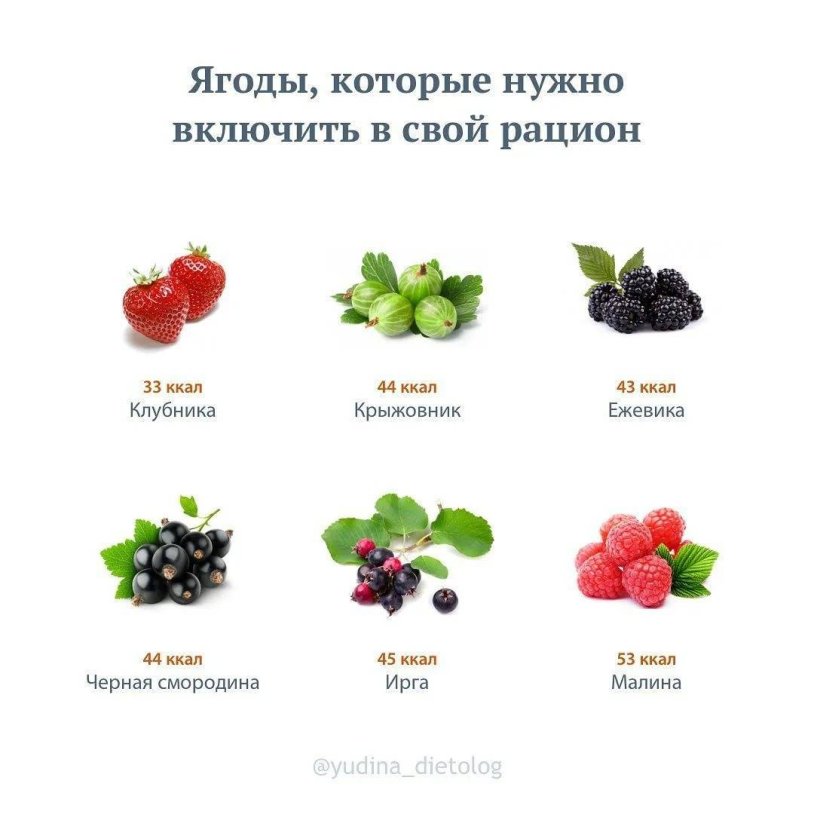 Useful berries of the name