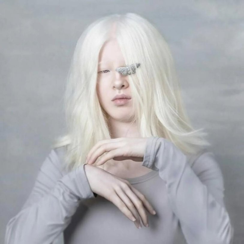 SEE-LEA Model Albino