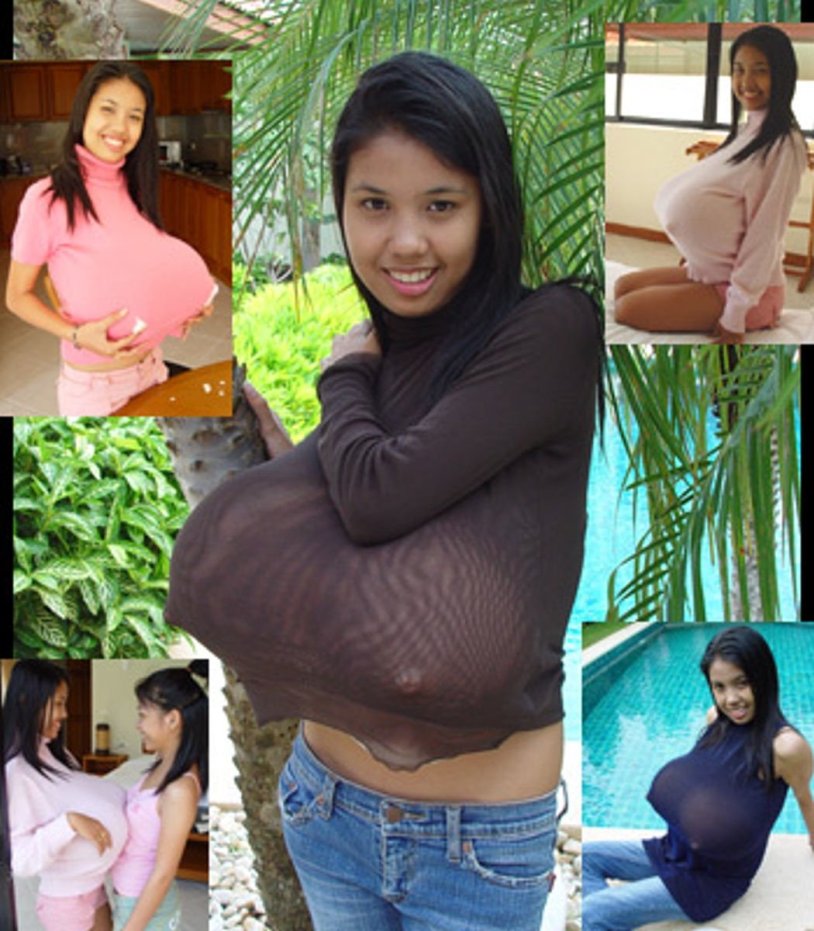 Farang Ding Dong Nina