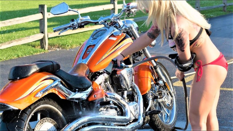 Motorcycles Harley Davidson and Cell