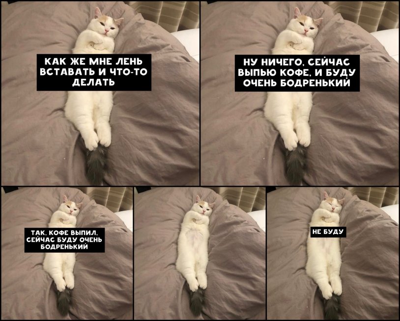 I'm too lazy I'm dumpling