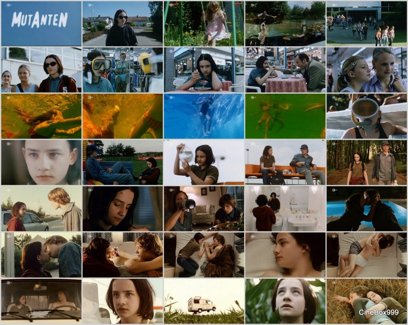 Cinema Queelque Chose de Mal 2005