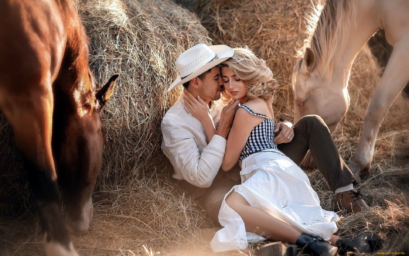 Love in the hay