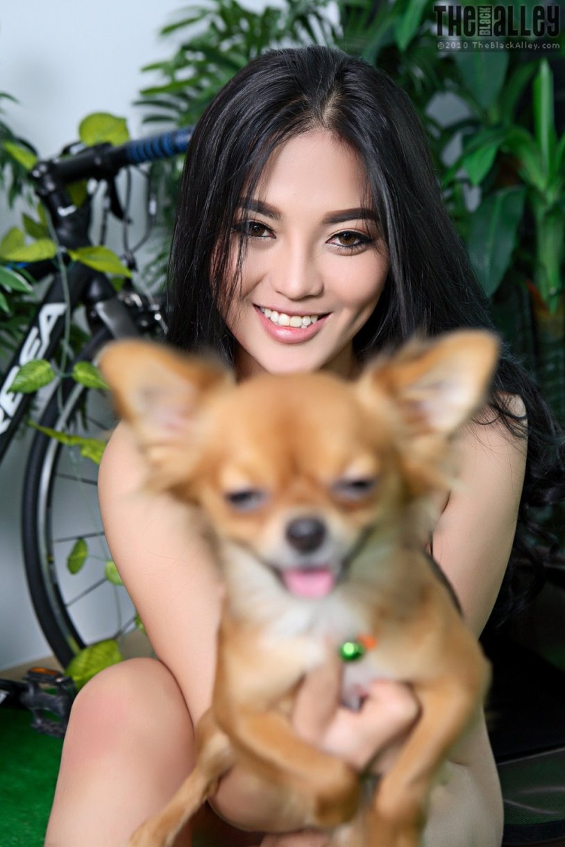 The Black Alley Pitta Set 7