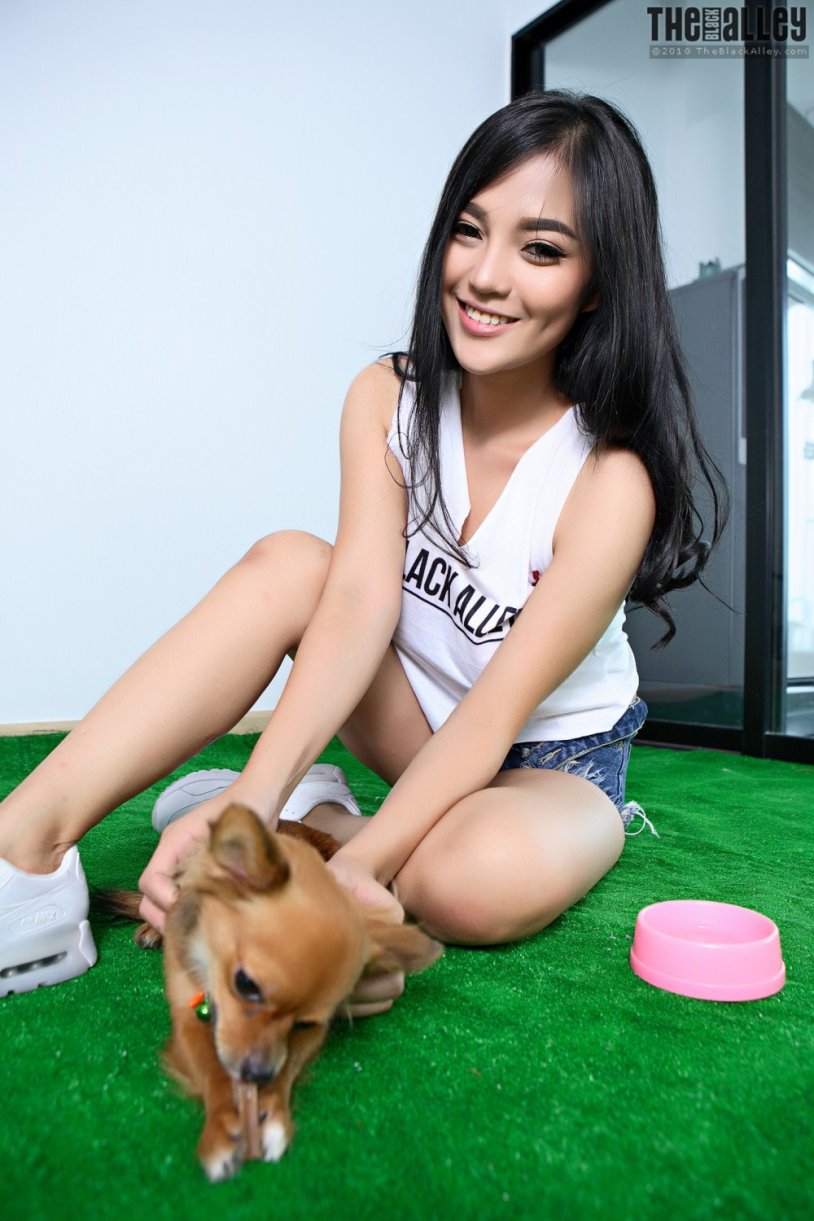 The Black Alley Pitta Set 7