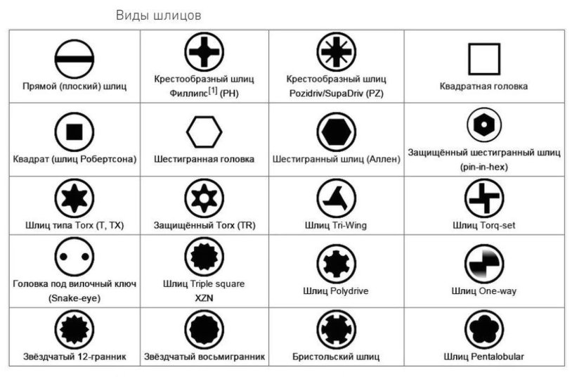 Slots of screws and screws