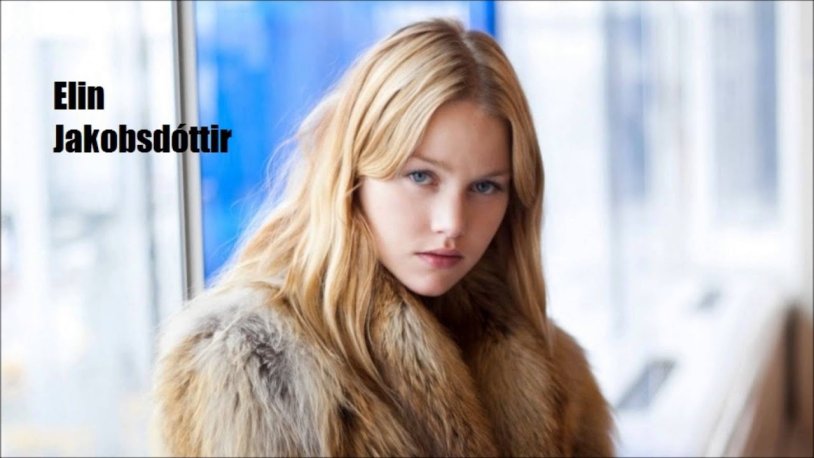 Purebred girls in Iceland