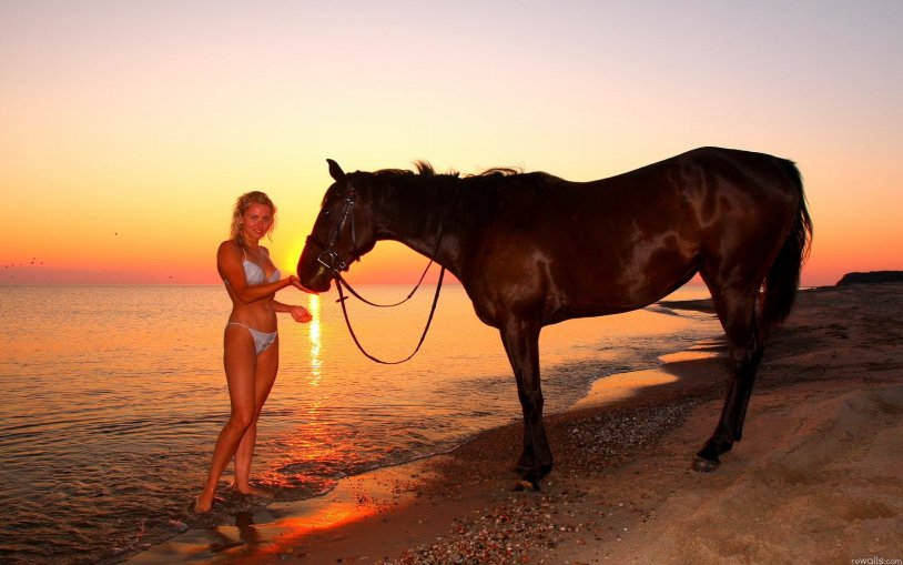 Photo shoot with a horse at sea