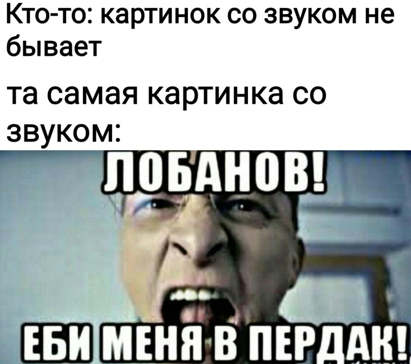 Bull bitch Lobanov bitch