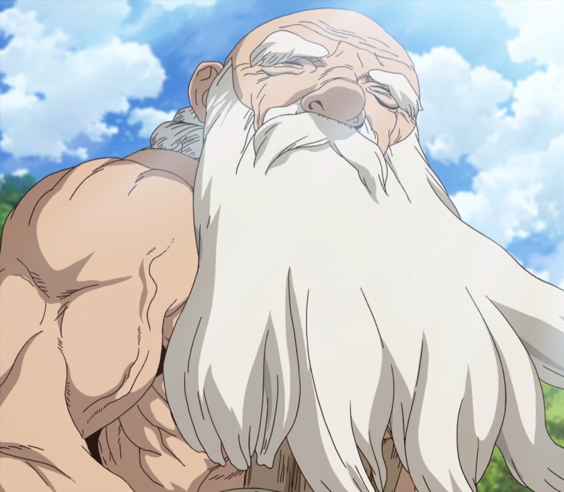 Grandfather Kaseki Dr. Stone