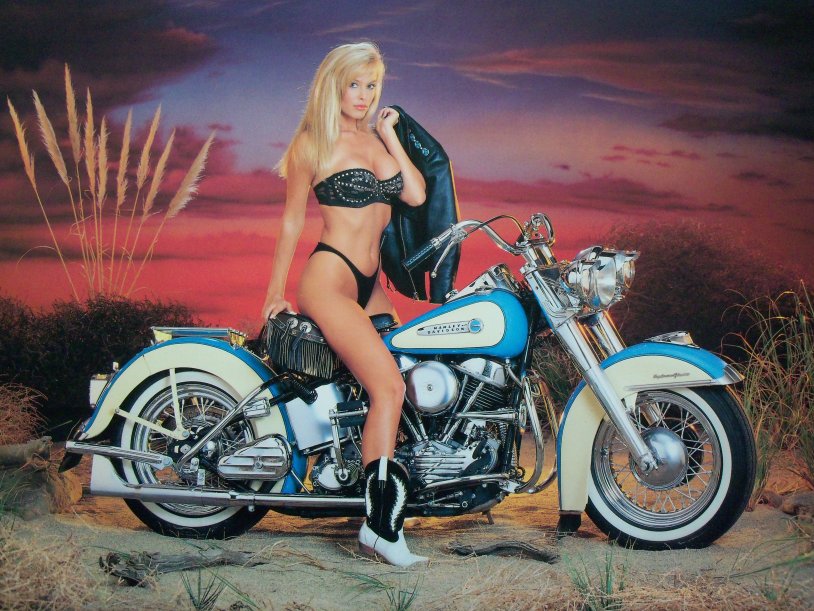 Motorcycles Harley Davidson and Cell