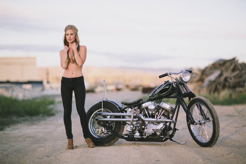 Motorcycles Harley Davidson and Cellular