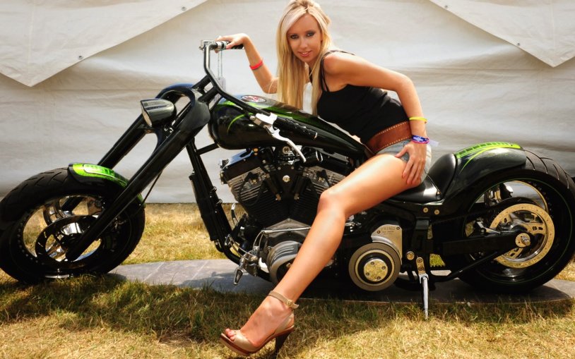 Motorcycles Harley Davidson and Cell