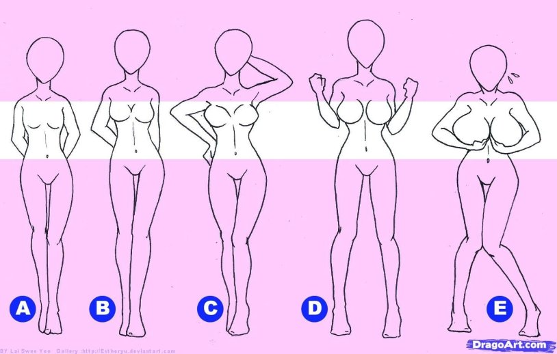 Breast size in pictures