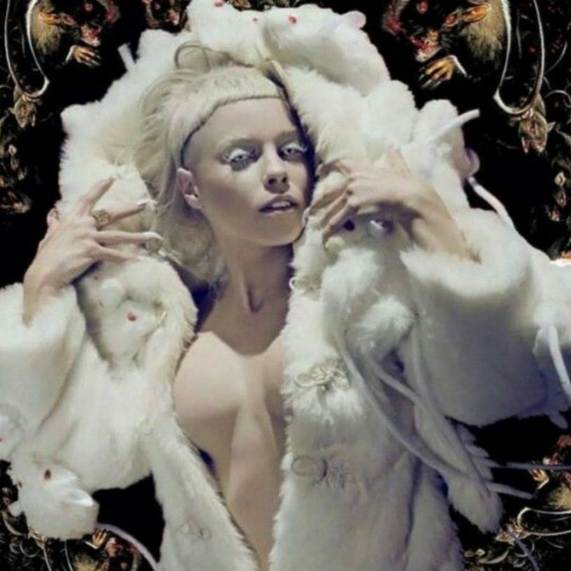 Die Antwoord Jolandi Fisser 18