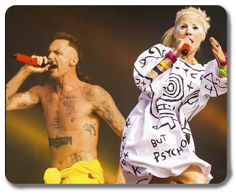 Die Antwoord group