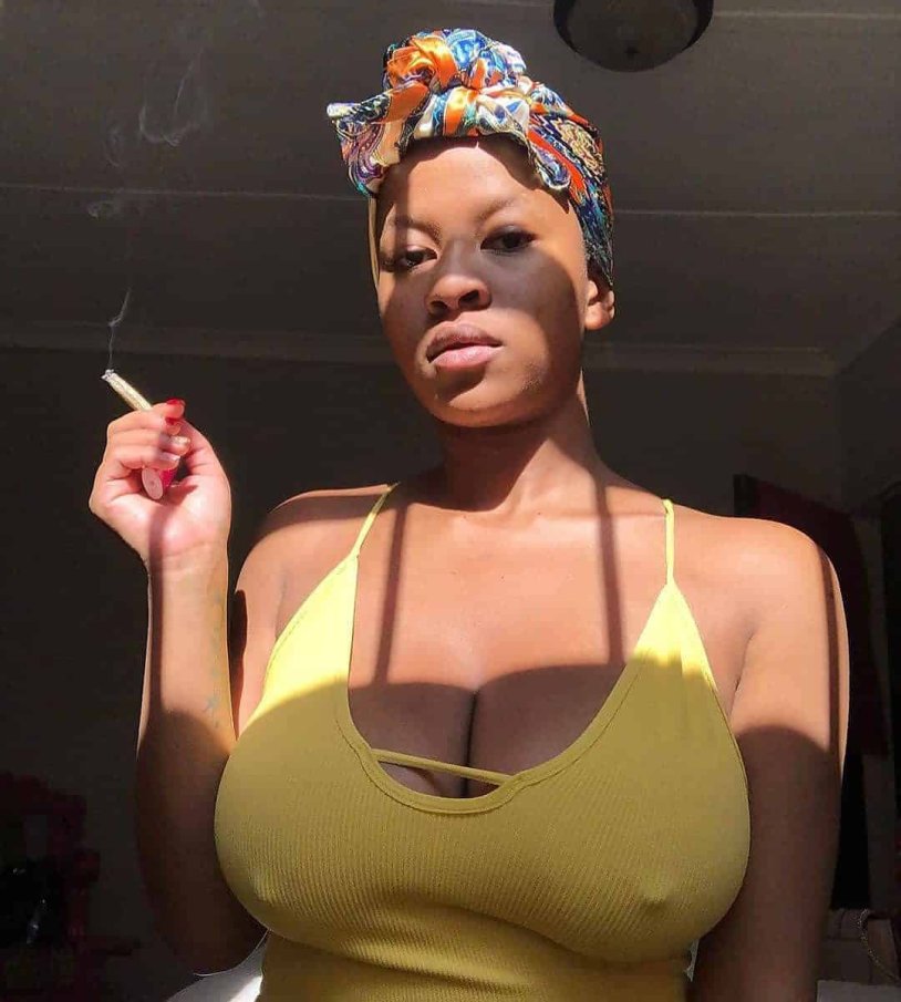 Outomn Linn Plus Saiz