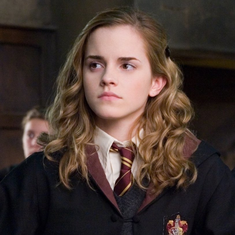 Harry Potter Hermione Granger