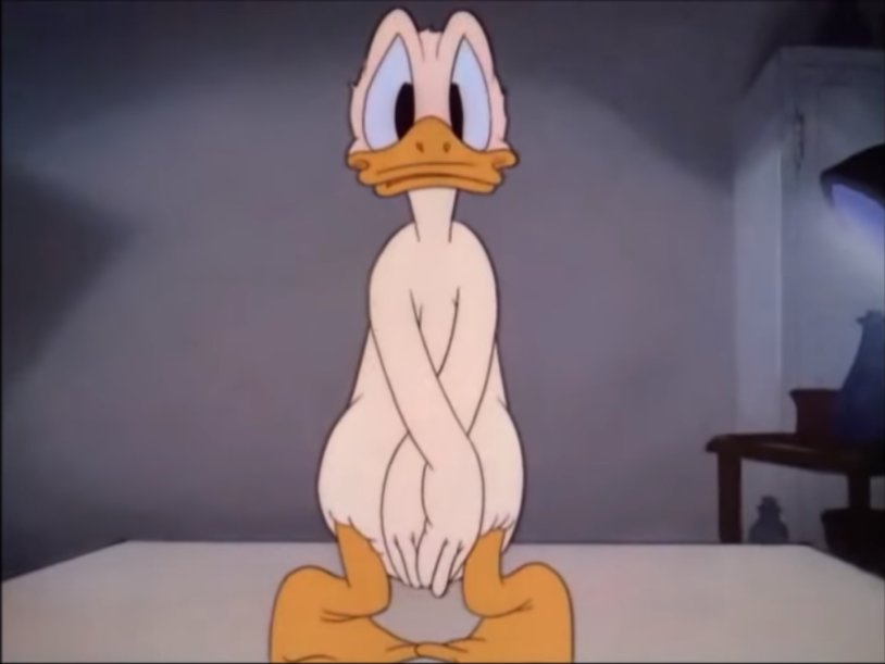 Donald Duck woke up
