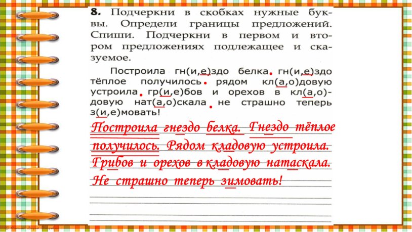 Built the nest of the protein nest warm