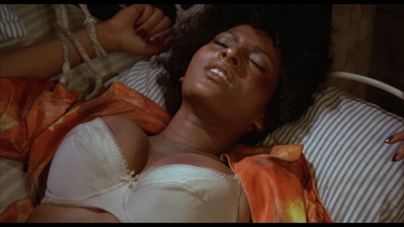 Pam Griere size bust