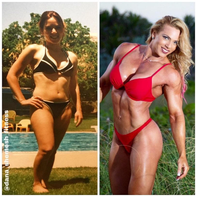 Dana Shemesh Lift Carry