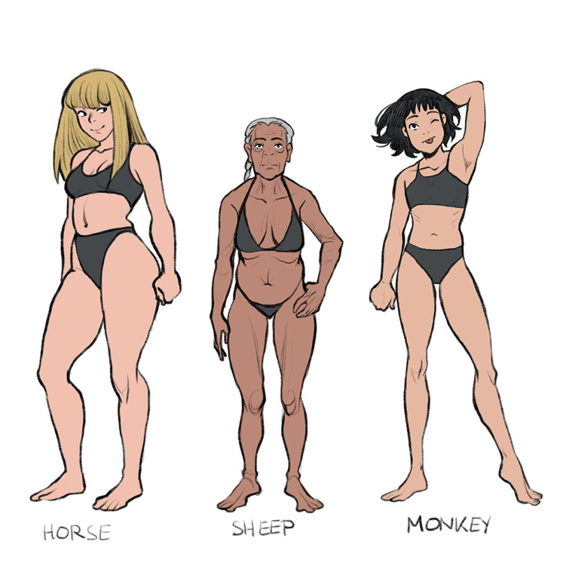 Types of female figure reference