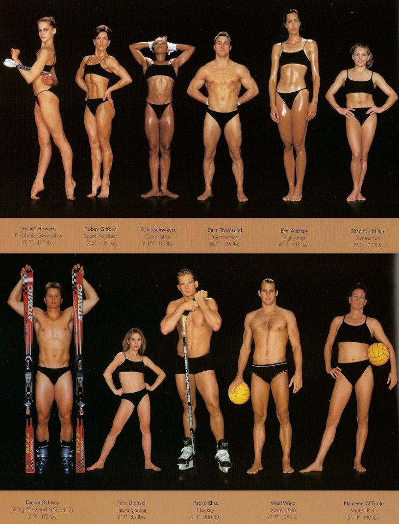 Exercises for a model figure