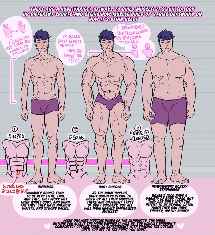 Muscle Body Types
