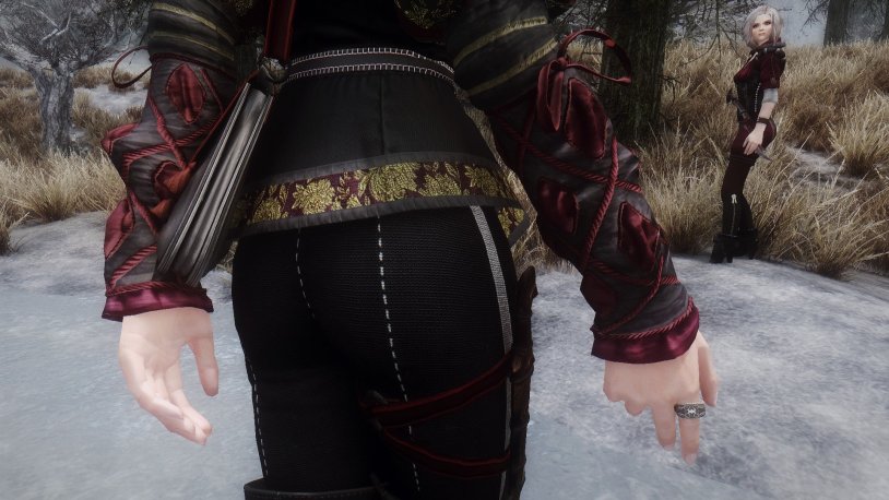 Anna Henrietta Witcher 3 Hood