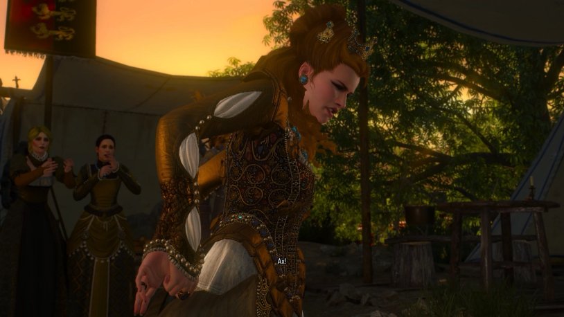 Anna Henrietta Witcher 3