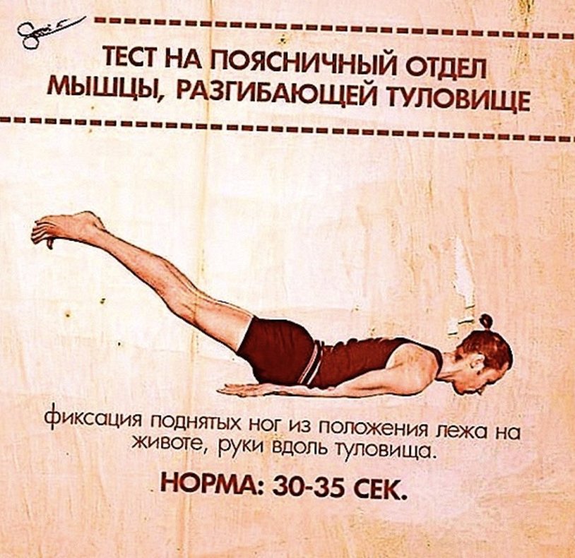 Steam vehicle muscles