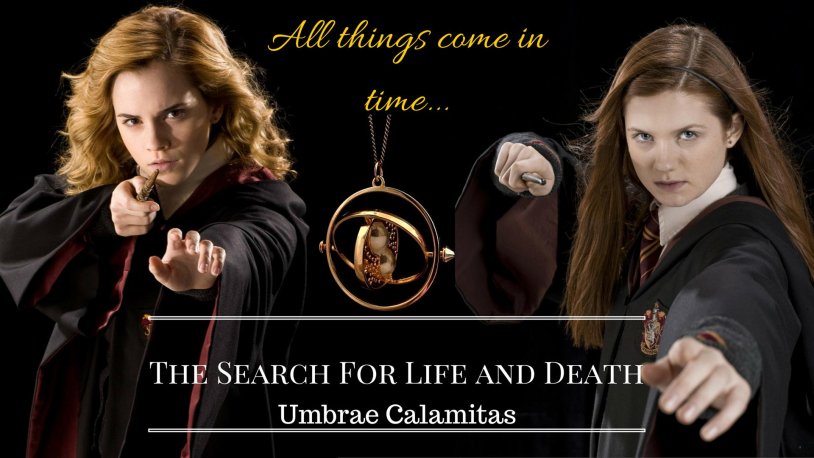 Hermione Granger slave