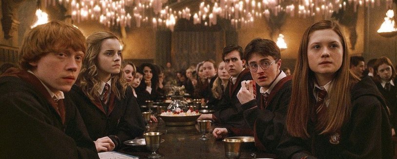 Harry Ron and Hermione Prince Hermotry