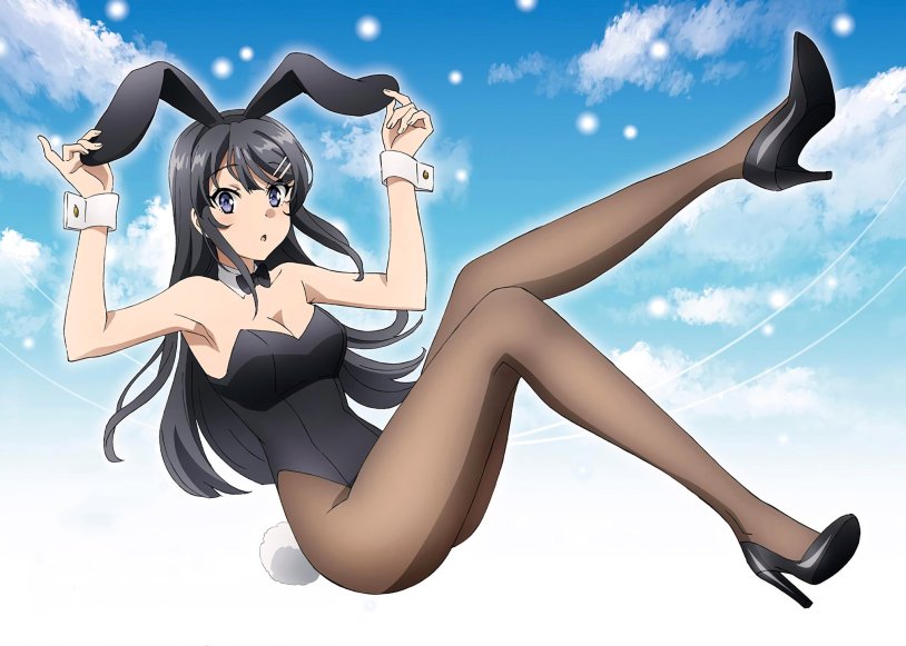 Mai Sakurajima Dakimakura