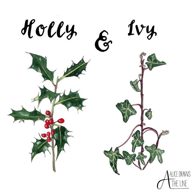 The story of Holly and Ivy