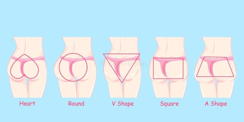 Forms of female buttocks