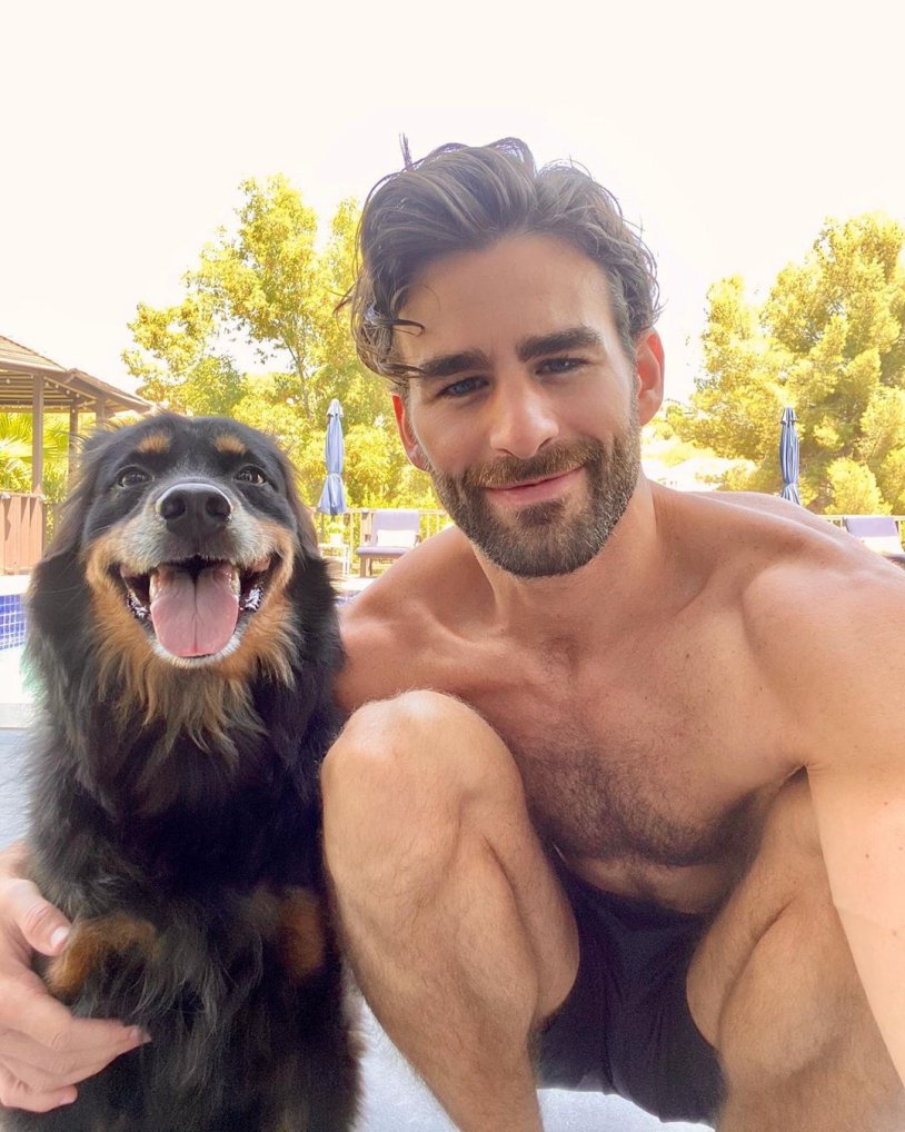 Long -haired Rottweiler